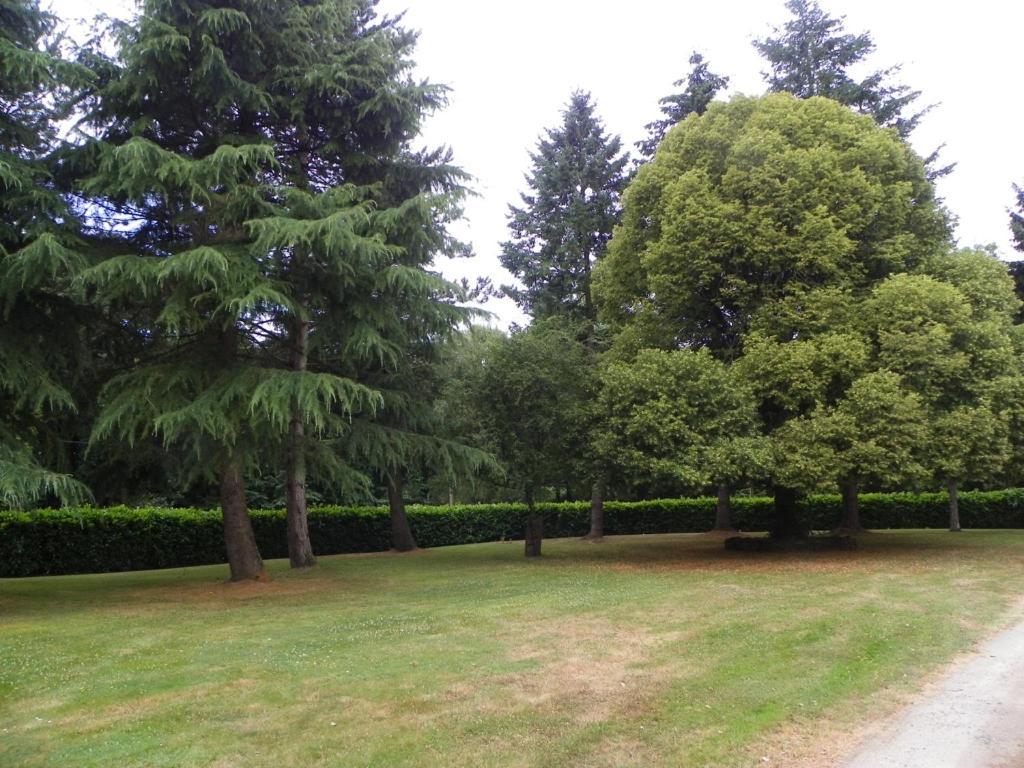 Malansac Manoir De Saint-Fiacre B&B 외부 사진