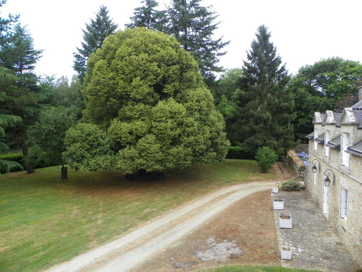 Malansac Manoir De Saint-Fiacre B&B 외부 사진